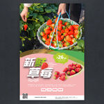 新鲜草莓海报