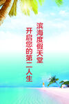 椰子树 海