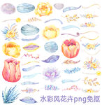 水彩风花卉