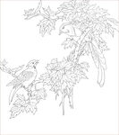 花鸟图