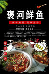 褒河鲜鱼图片