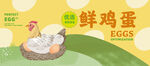 鲜鸡蛋包装