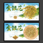 金银花