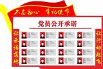 党员公开承诺