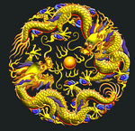 龙
