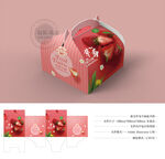 草莓包装 平面图