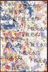 大牌 拼接花 水彩花