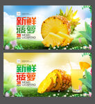 菠萝