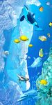 海底世界海豚3D玄关