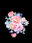 高清手绘花