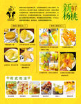 杨桃
