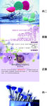 尚洋科技包装展开图