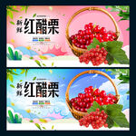 红醋栗