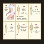 女性体型图