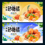砂糖橘
