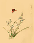 兰花彩铅画