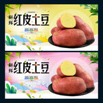 红皮土豆