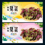 苋菜