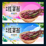 红菜苔