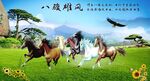 八骏雄风