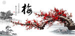  梅花