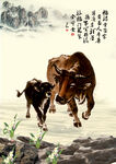 老黄牛