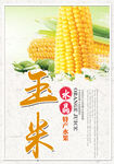 玉米