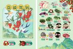 荔枝节活动海报商超展示图片