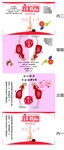 减肥包装展开图