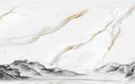 新品高档鱼肚白纹 TIf分层