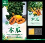 木瓜