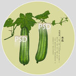 水瓜包装手绘装饰画