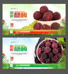 杨梅海报