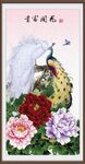  花开富贵