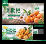 枇杷