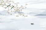 电视背景墙