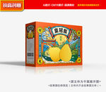 皇冠梨包装 秋月梨礼盒