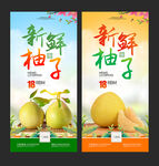 柚子展架