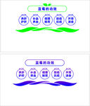 蓝莓文化