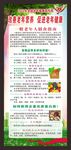 老年健康宣传周展架