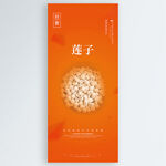 莲子