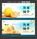柚子图片