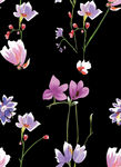 手绘花