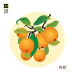 手绘枇杷