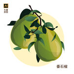 手绘番石榴