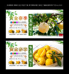 黄金奈李