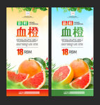 血橙