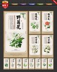 中医中药
