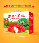 荔枝包装 妃子笑礼盒