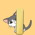 可爱的猫咪PSD分层文件